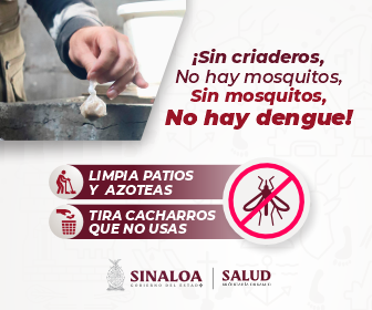 DENGUE CUADRADA