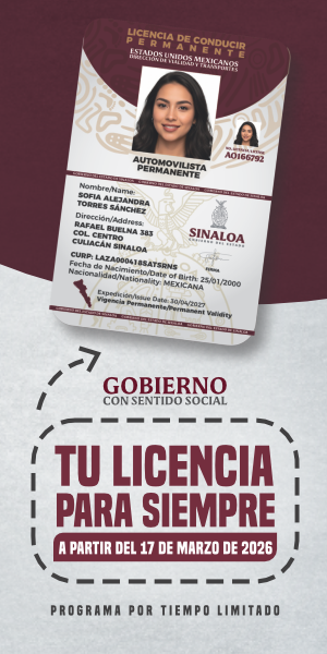 LICENCIA PERMANENTE 600X300