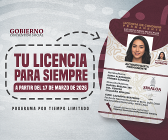 LICENCIA PERMANENTE