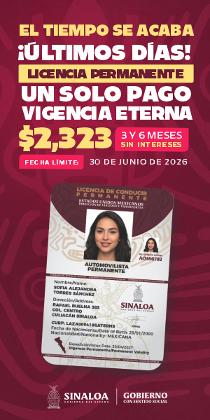 LICENCIA PERMANENTE LARGA