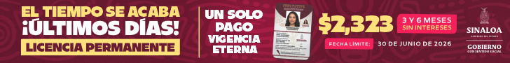 LICENCIA PERM