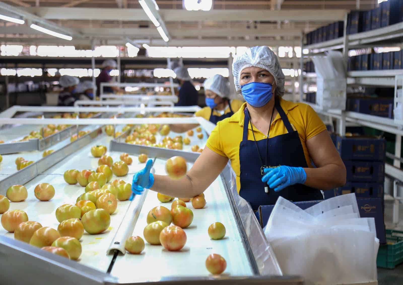 Reconstruir la confianza: el reto de Sinaloa